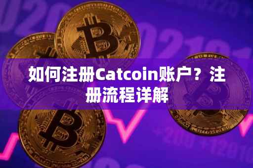如何注册Catcoin账户？注册流程详解