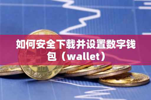 如何安全下载并设置数字钱包（wallet）