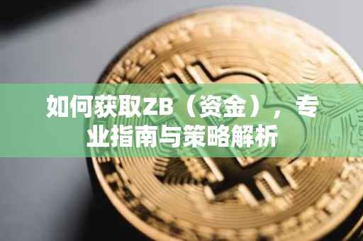 如何获取ZB（资金），专业指南与策略解析