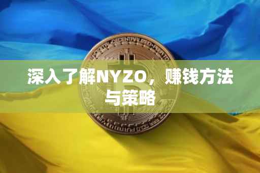 深入了解NYZO，赚钱方法与策略