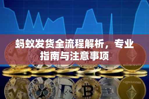 蚂蚁发货全流程解析，专业指南与注意事项