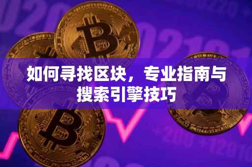 如何寻找区块，专业指南与搜索引擎技巧