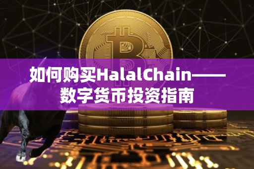 如何购买HalalChain——数字货币投资指南