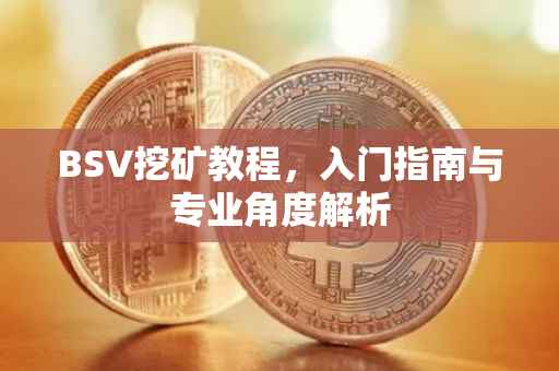 BSV挖矿教程，入门指南与专业角度解析