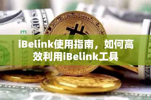 iBelink使用指南，如何高效利用iBelink工具
