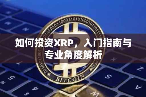 如何投资XRP，入门指南与专业角度解析