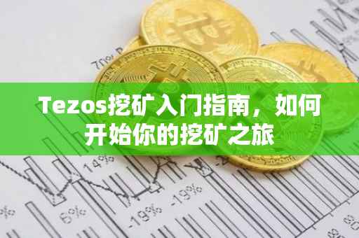Tezos挖矿入门指南，如何开始你的挖矿之旅