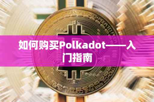 如何购买Polkadot——入门指南