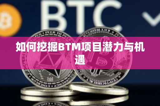 如何挖掘BTM项目潜力与机遇