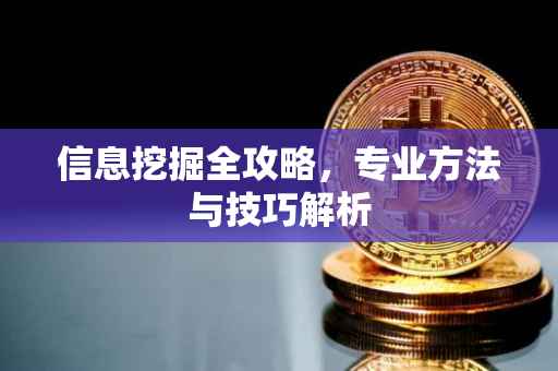 信息挖掘全攻略，专业方法与技巧解析