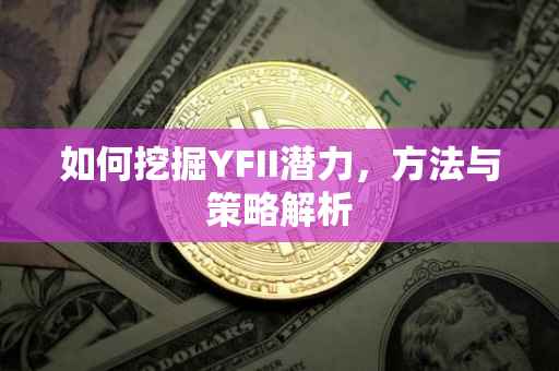 如何挖掘YFII潜力,方法与策略解析