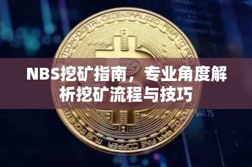 NBS挖矿指南，专业角度解析挖矿流程与技巧