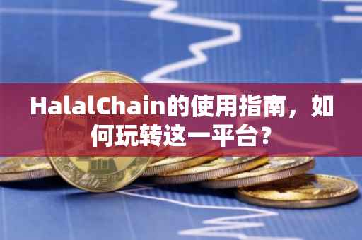 HalalChain的使用指南，如何玩转这一平台？