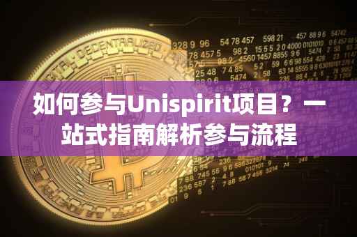 如何参与Unispirit项目?一站式指南解析参与流程