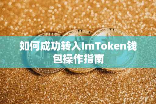 如何成功转入ImToken钱包操作指南