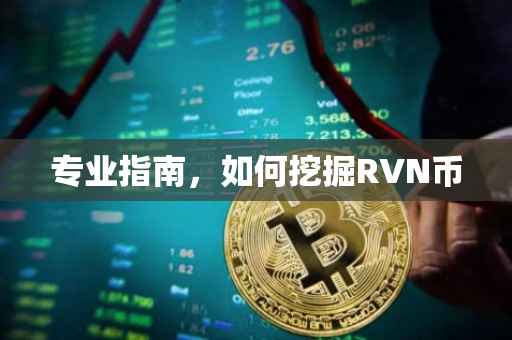 专业指南,如何挖掘RVN币