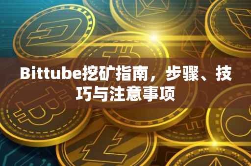 Bittube挖矿指南,步骤、技巧与注意事项