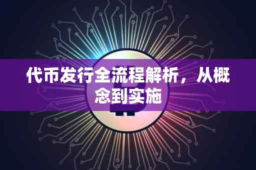 代币发行全流程解析，从概念到实施