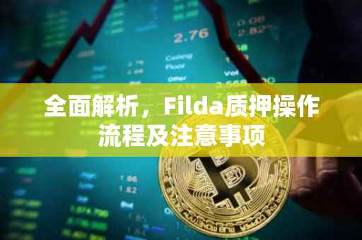 全面解析，Filda质押操作流程及注意事项