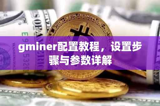 gminer配置教程，设置步骤与参数详解