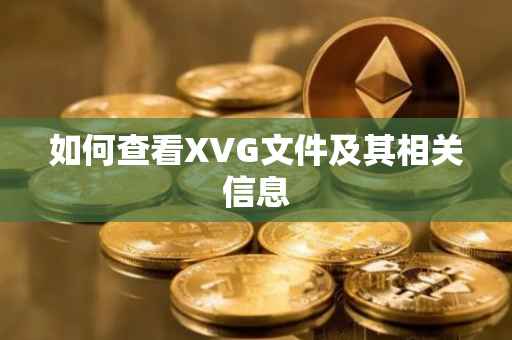 如何查看XVG文件及其相关信息