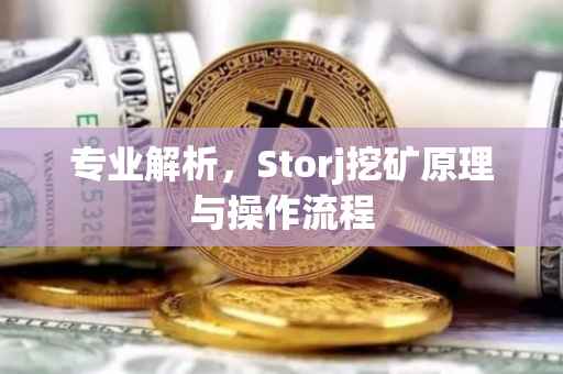 专业解析,Storj挖矿原理与操作流程