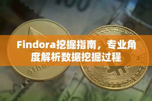 Findora挖掘指南，专业角度解析数据挖掘过程