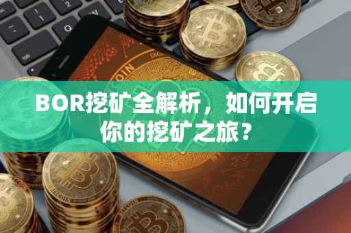 BOR挖矿全解析，如何开启你的挖矿之旅？