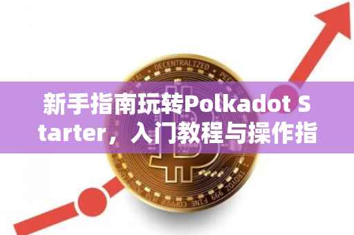 新手指南玩转Polkadot Starter，入门教程与操作指南
