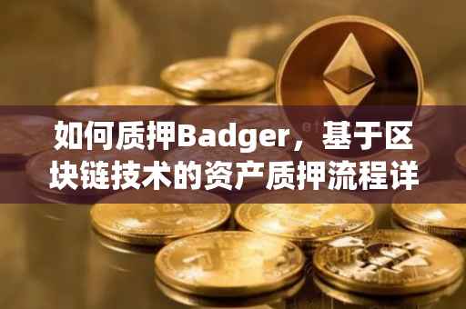 如何质押Badger，基于区块链技术的资产质押流程详解