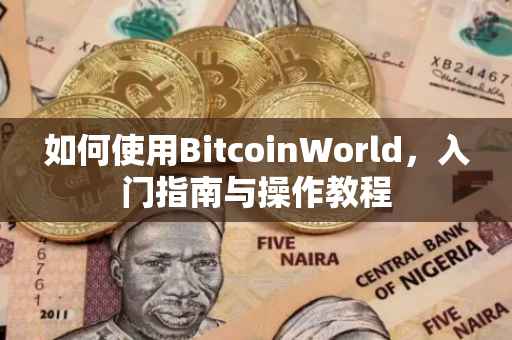 如何使用BitcoinWorld，入门指南与操作教程
