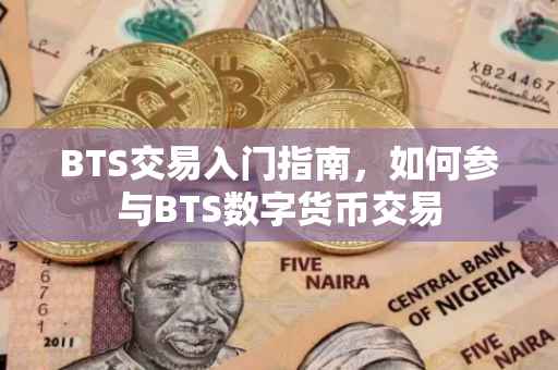 BTS交易入门指南，如何参与BTS数字货币交易