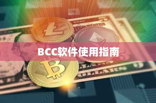 BCC软件使用指南