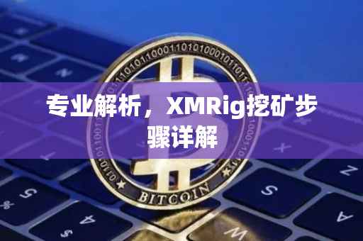 专业解析,XMRig挖矿步骤详解