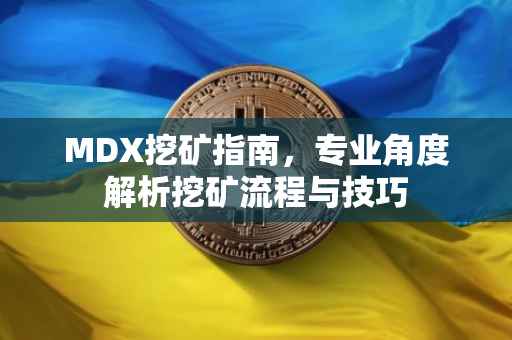 MDX挖矿指南,专业角度解析挖矿流程与技巧