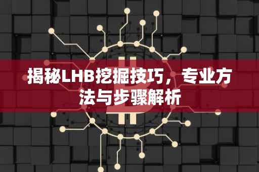 揭秘LHB挖掘技巧,专业方法与步骤解析