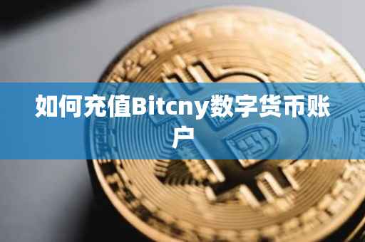 如何充值Bitcny数字货币账户