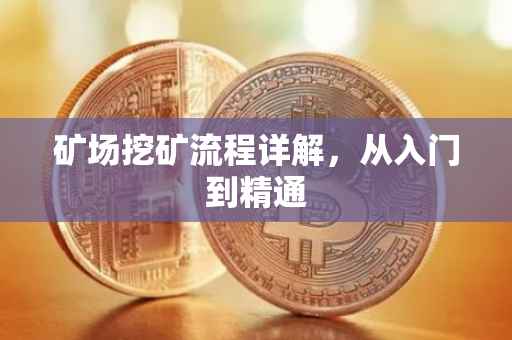矿场挖矿流程详解，从入门到精通