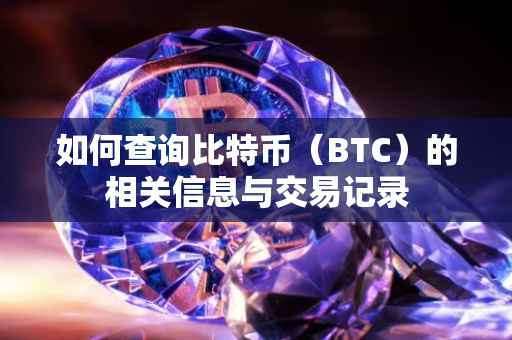 如何查询比特币（BTC）的相关信息与交易记录