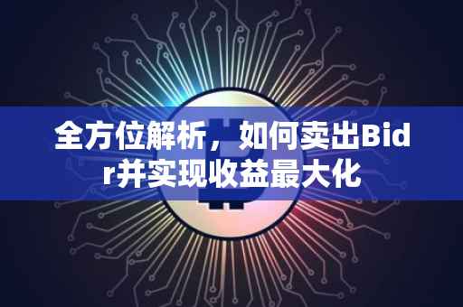 全方位解析，如何卖出Bidr并实现收益最大化