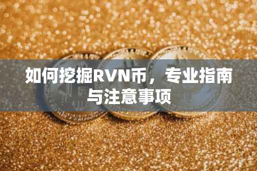 如何挖掘RVN币,专业指南与注意事项
