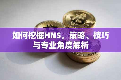 如何挖掘HNS,策略、技巧与专业角度解析