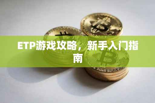 ETP游戏攻略，新手入门指南