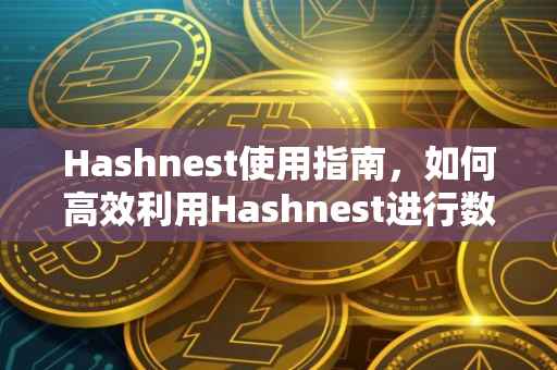 Hashnest使用指南，如何高效利用Hashnest进行数据存储与检索