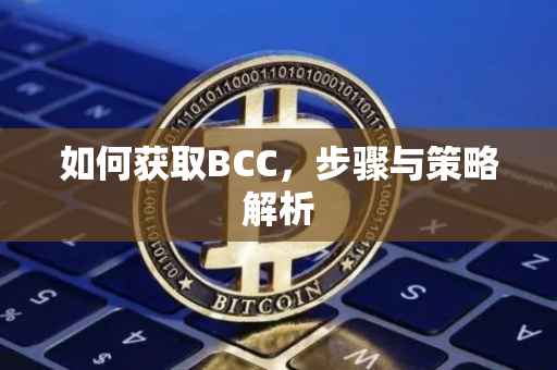 如何获取BCC，步骤与策略解析