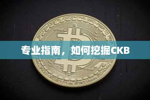 专业指南，如何挖掘CKB