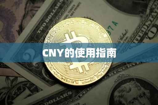 CNY的使用指南