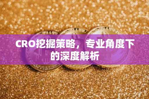 CRO挖掘策略，专业角度下的深度解析