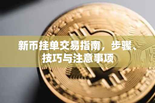 新币挂单交易指南，步骤、技巧与注意事项