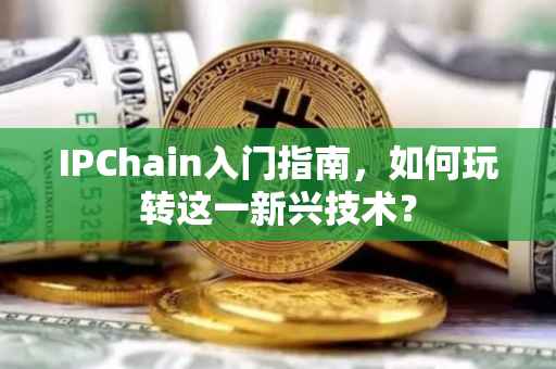 IPChain入门指南，如何玩转这一新兴技术？